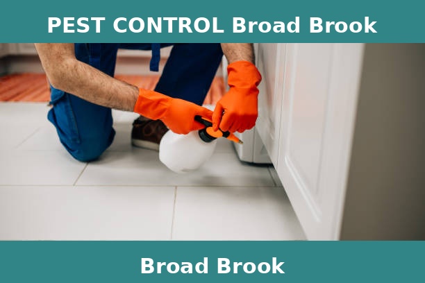 PEST CONTROL Broad Brook